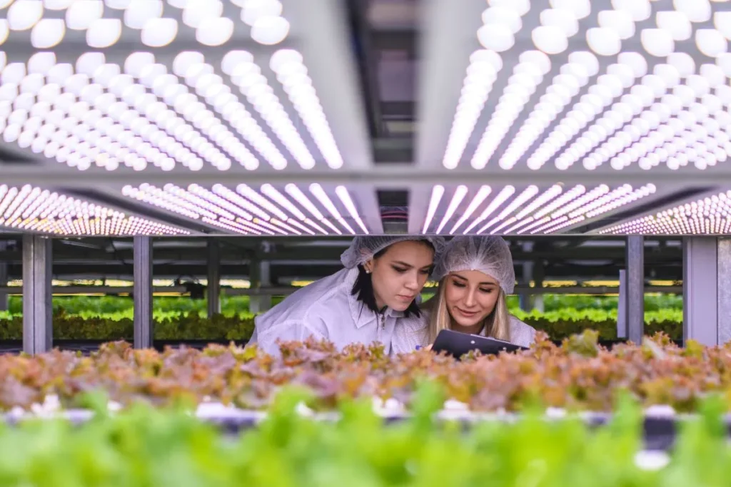 Ireland agri-food trade mission China