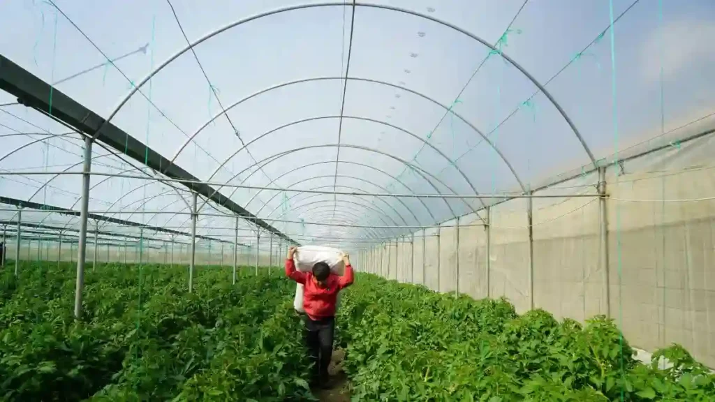 Belgium Fresh Produce Market 2025