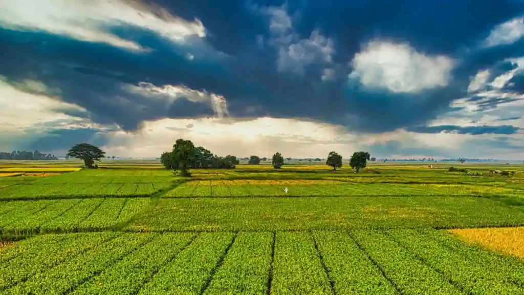 Fresh Produce Companies in Finland