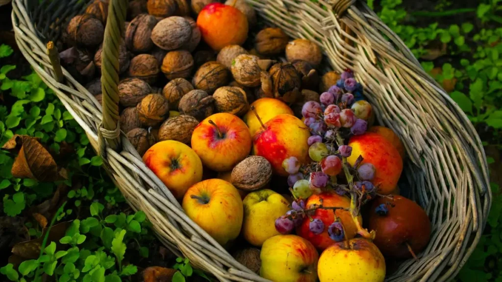 Top 10 Fresh Produce Companies in Greece