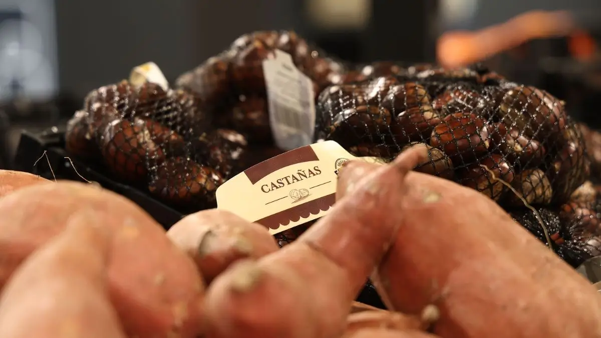 ALDI Spain to Buy 93,820 Tons of Produce in 2026