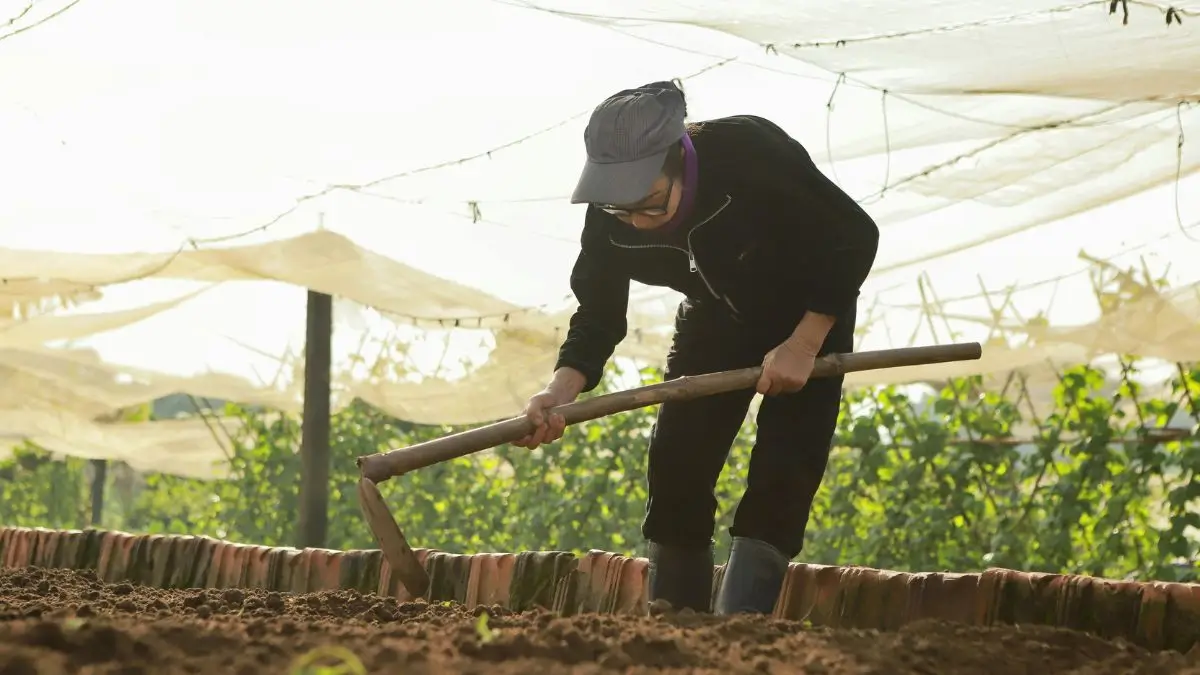 Fresh Produce Companies in Canada