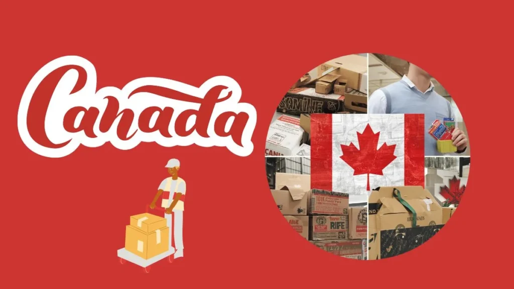 Top 10 Packaging Companies in Canada