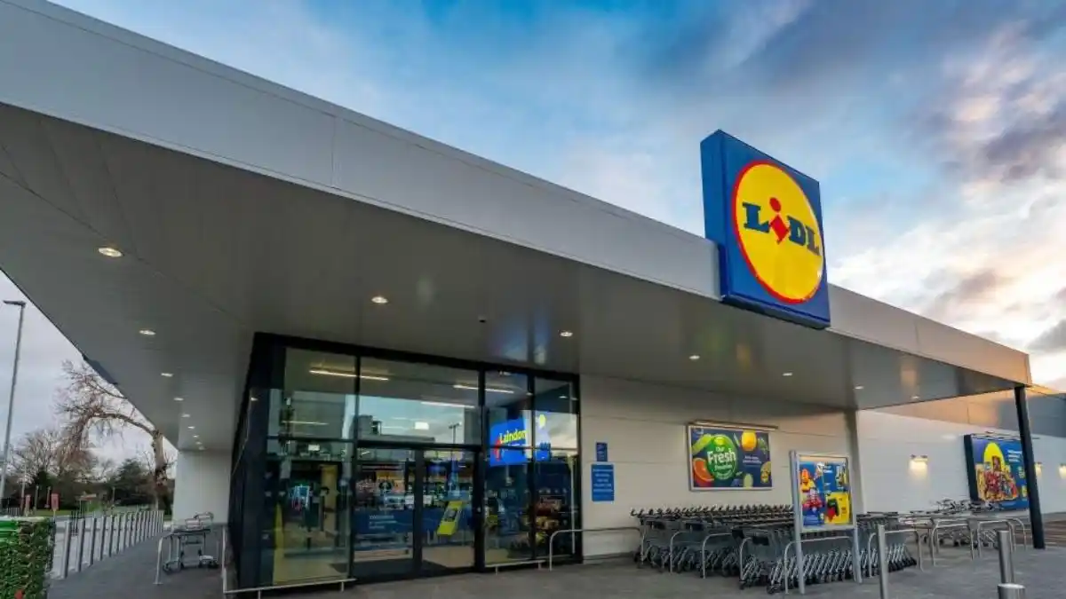 Lidl GB to open 50 stores in £600m UK expansion