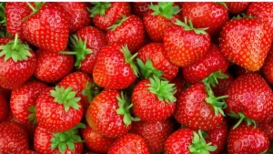 ALDI Nord Expands Regional Strawberry Supply