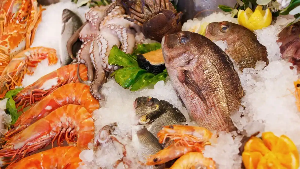 Seafood Expo Global 2026 Sets Attendance Record