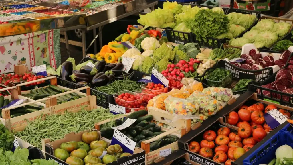 Top 5 Fresh Produce Companies in Malta 2026