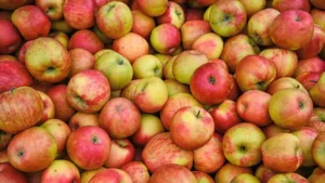 Top 10 Apple Producer Companies in Australia in 2026