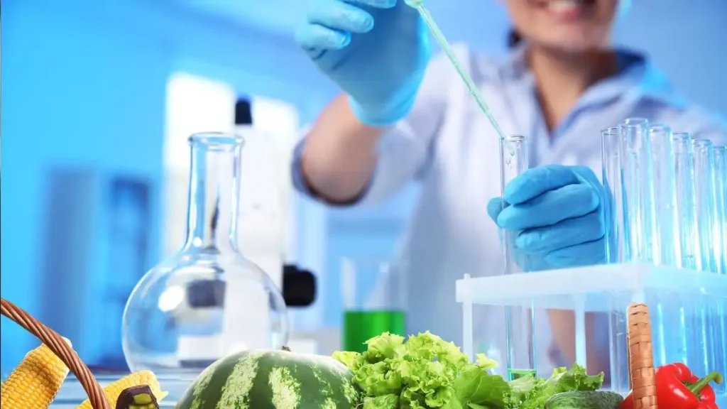 Top 10 Food Safety Certifications in Slovakia