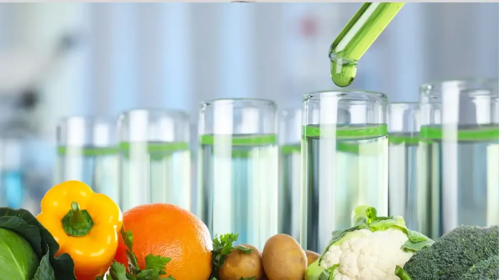 Top 10 Food Safety Certifications in Hungary