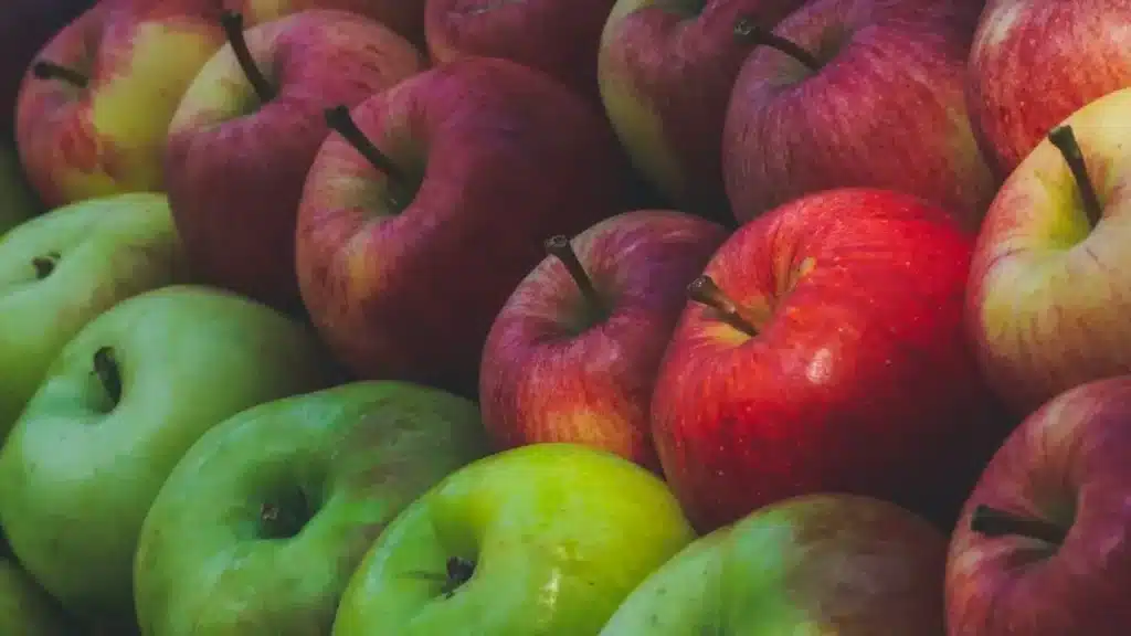 Top 5 Apple Produce Companies in Denmark 2026