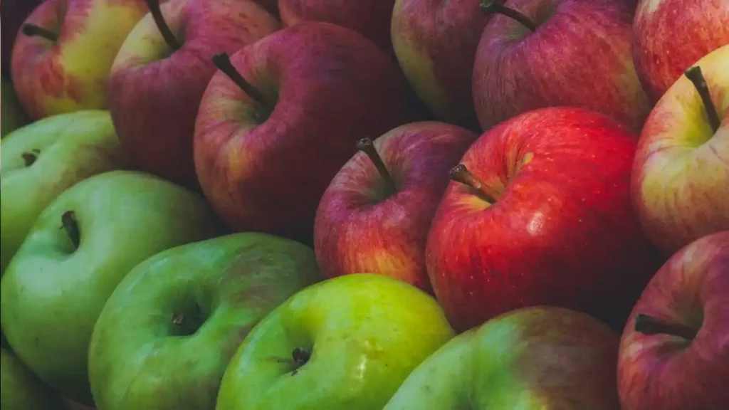 Top 5 Apple Produce Companies in Finland 2026