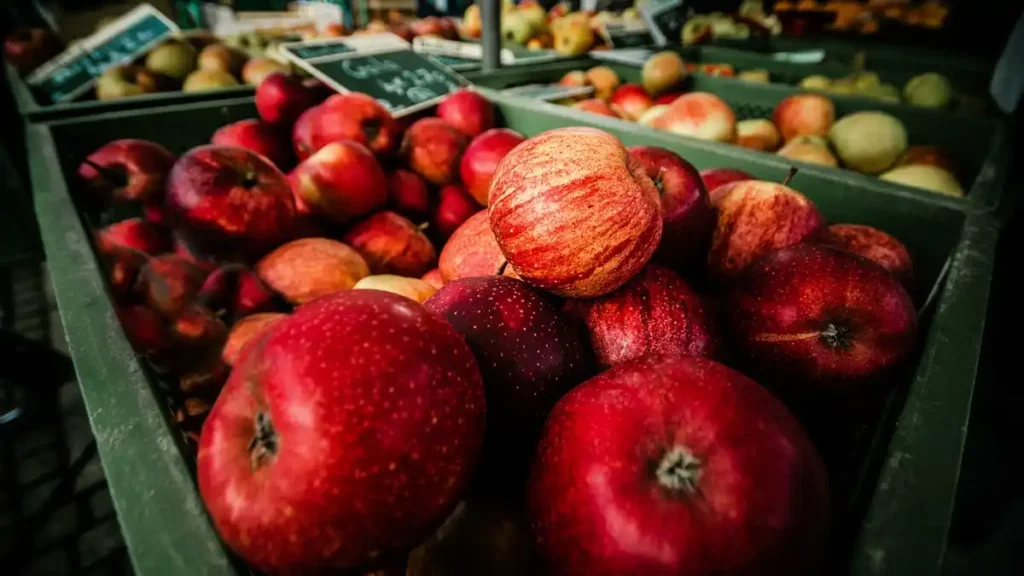 Top 5 Apple Produce Companies in Sweden