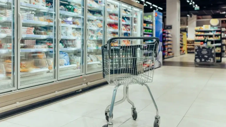 Top 5 Supermarket Refrigeration Companies in Switzerland