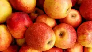 Top 8 Apple Produce Companies in Hungary 2026
