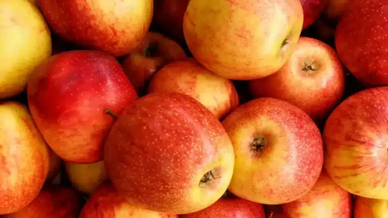 Top 8 Apple Produce Companies in Hungary 2026