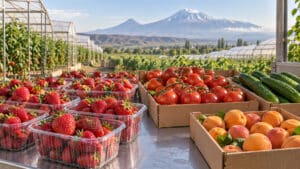 Illustration of strawberries, tomatoes, cucumbers and apricots for an Armenian produce sourcing guide