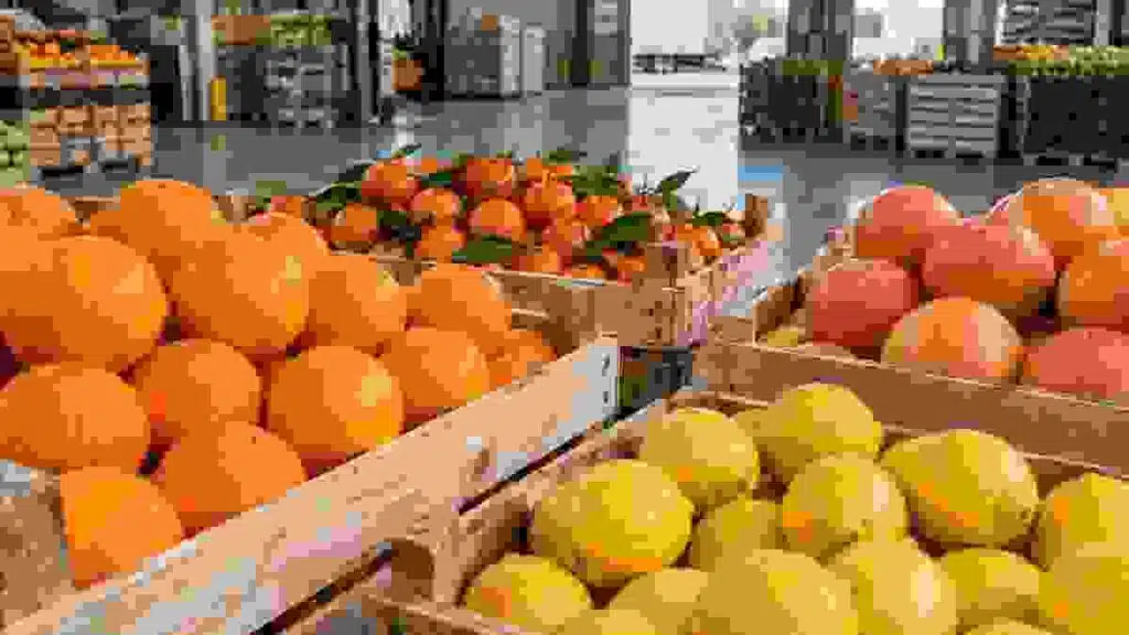 Citrus fruit prepared for European supermarket supply