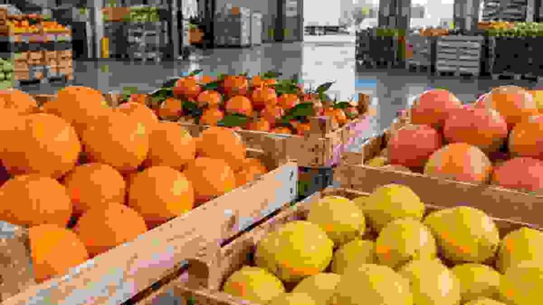 Citrus fruit prepared for European supermarket supply