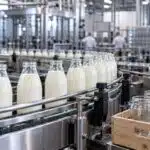 Glass milk bottles and food jars on a dairy packaging production line