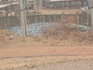 Plastic bottles collected for recycling