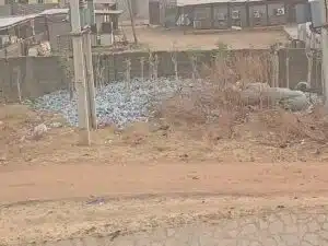 Plastic bottles collected for recycling