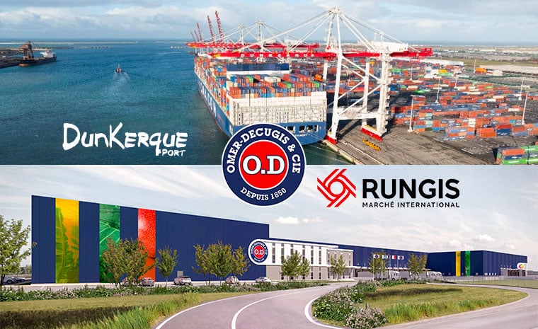 Dunkirk container port above a rendering of the proposed Omer-Decugis fruit facility