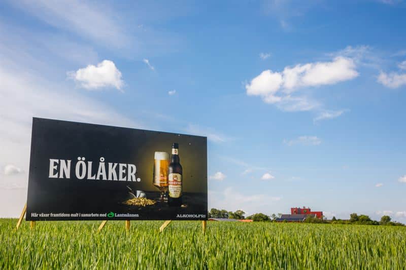 Mariestads beer sign in a green barley field under a blue sky